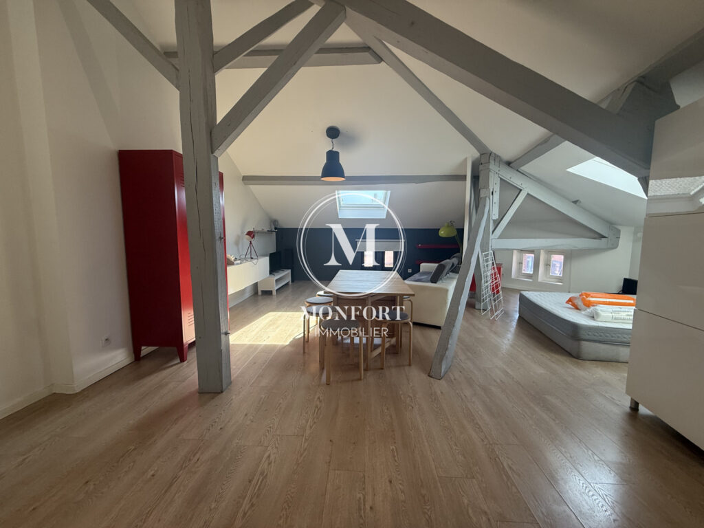 LOFT MEUBLE CENTRE VILLE